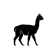 Fototapeta premium Black Silhouette of a Llama Walking on White Background