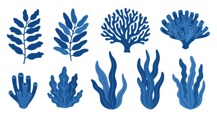 Blue Coral Sea Fan Marine Life. © albab
