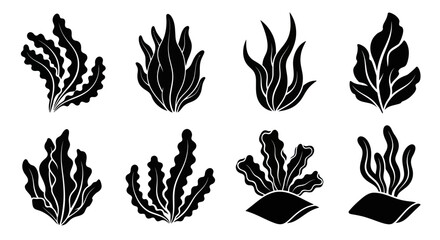 Collection of various seaweed silhouettes. © albab