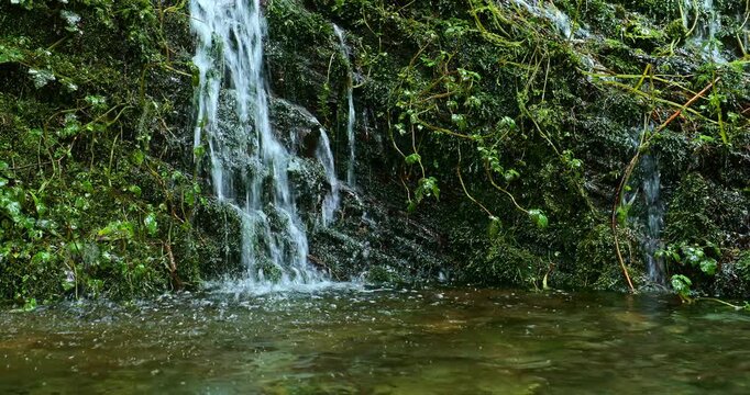 Many mountain springs trickle down the cliff face of the Jianqing Ancient Trail on Taipingshan Mountain in Yilan.