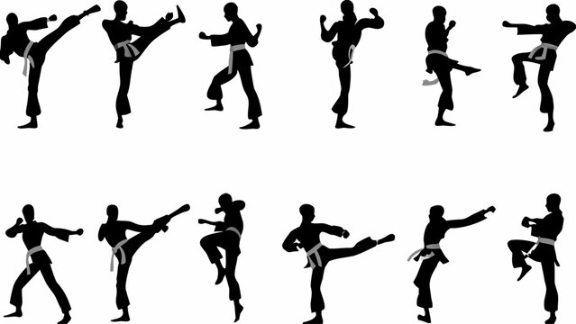 karate fighter silhouettes performing kicks and punches on white background