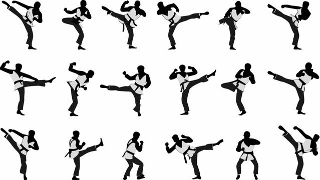 karate fighter silhouettes performing kicks and punches on white background