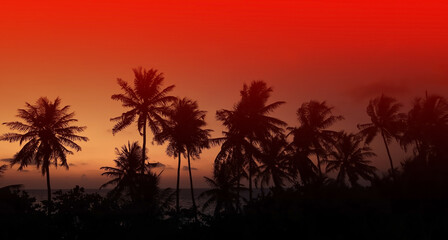 Obraz premium The Summer orange colorful theme with palm trees leaf background as texture wallpaper frame image background