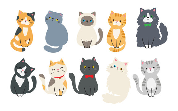 Cute full-body cat vector illustrations featuring various long-haired and short-haired breeds in sitting poses.