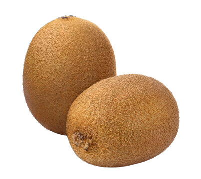 Two whole kiwi fruits, isolated on cutout transparent background