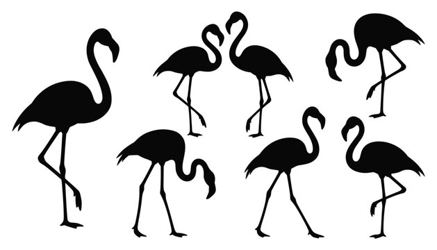 Vector set of black silhouettes of flamingos