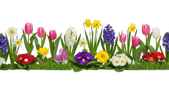 A vibrant border of colorful spring flowers sits atop a transparent background.