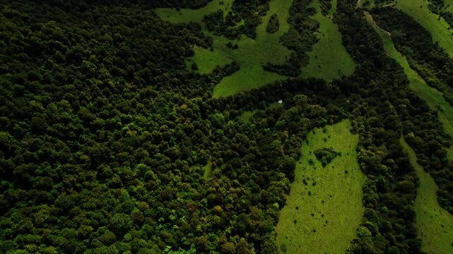 Drone Scenic Imagery. Serene Aerial Footage Of Kakheti Mountains And Forest Canopy. Captivating Drone Footage Revealing Peaceful Mountain Landscapes Wrapped In Morning Mist