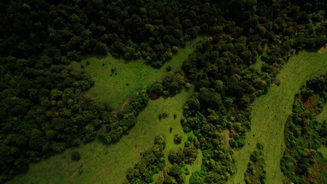 Sweeping Drone Footage Captures Peaceful Farmland And Village Scenes. Panoramic Aerial Perspective Showcasing Tranquil Field Landscapes And Scattered Rural Settlements