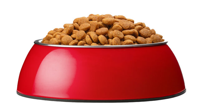 Red pet bowl filled with dry kibble food, isolated on cutout transparent background