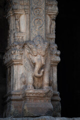 Fototapeta premium A Yali is a prominent mythical guardian creature in Hindu temple architecture, particularly in South India. 