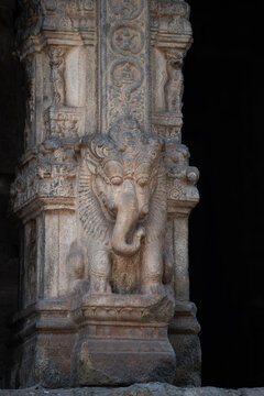 A Yali is a prominent mythical guardian creature in Hindu temple architecture, particularly in South India. 