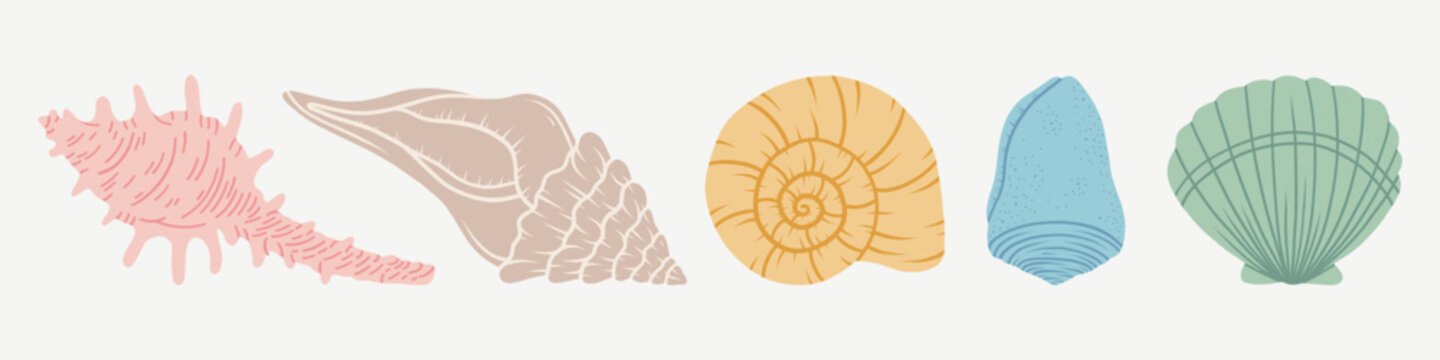 Sea shells set, mollusks, starfish. Trendy flat illustration of seashells collection isolated on white for stickers.