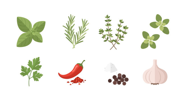 Watercolor set of fresh culinary herbs and spices. EPS Editable. Vector Illustrations.