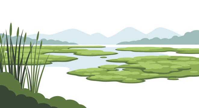 Vibrant Cattails Growing Beside a Serene Wetland Landscape. EPS Editable. Vector Illustrations.