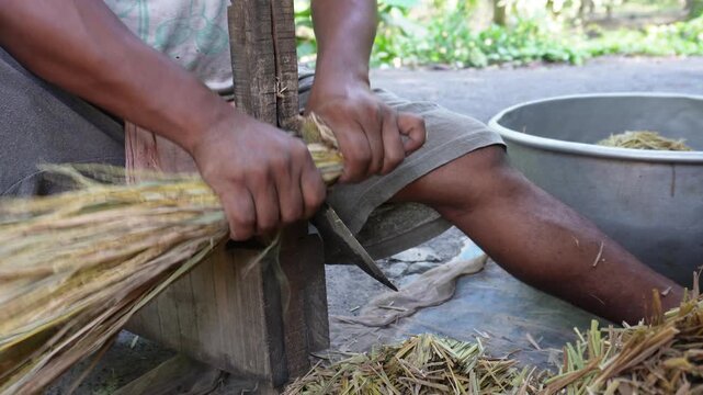 Skilled rural artisan cutting straw for livestock feed