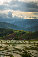 Fototapeta premium Lush green mountains and fields, bathed in sunlight.