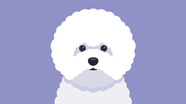 Vector illustration of a purebred Bichon Frise dog with professional show grooming featuring a perfectly rounded fluffy white head and coat isolated on a plain background.