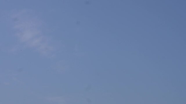 Skilled baya weaver bird soaring through blue cloudy sky