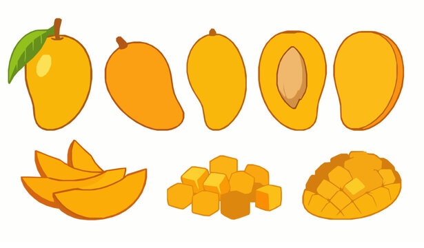 Mango fruit vector set slices cubes tropical illustration