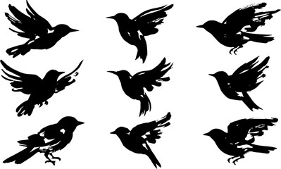 Obraz premium Flock of birds in silhouette flying across a white background