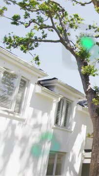 Vertical video: Tilting camera causing green AR appearing shifting fading, exposing house and tree