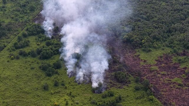Drone view shows smoldering peat fire and thick smoke across tropical wetland.