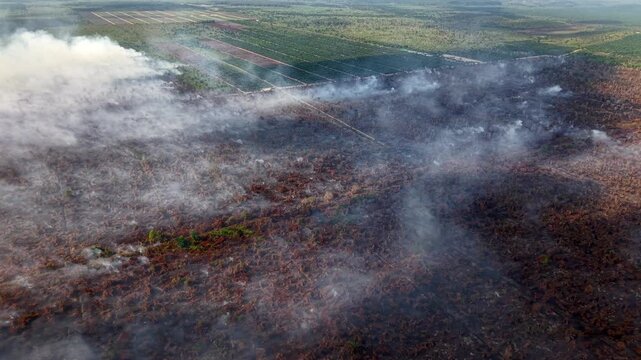 Aerial view shows smoke rising from burning land. Smoke drifts across charred earth and green fields.