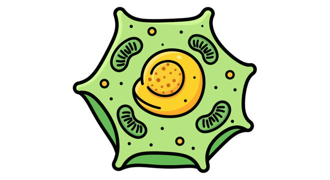 Cartoon Amoeba Illustration - Single Cell Organism