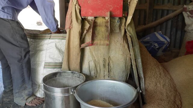 Rice milling process transforming paddy into edible rice