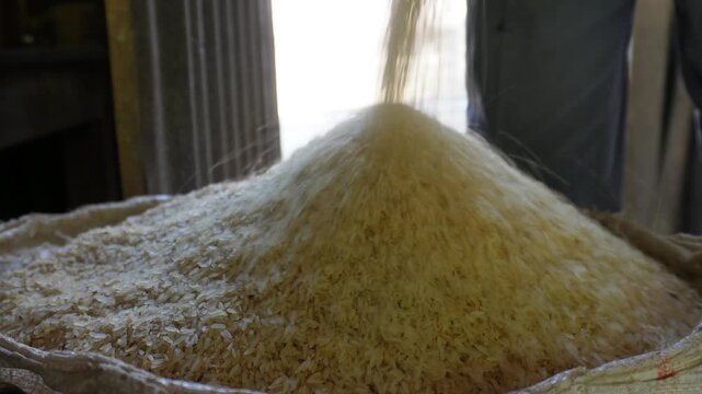 Rice milling grain processing