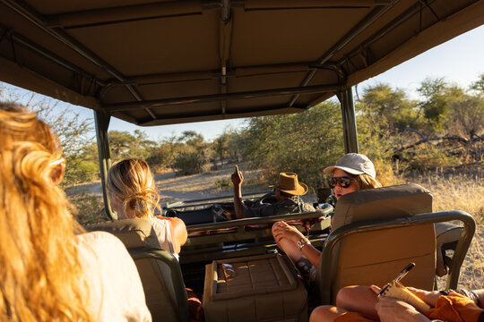 young boy sitting in safari vehicle, Okavango Delta, Botswana, Africa