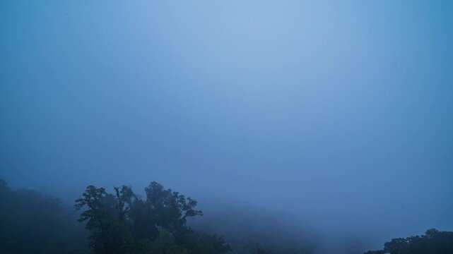 Time lapse The morning sunlight shines through the sea of ​​fog. The thick fog in the forest is so thick that it is impossible to see. The moist atmosphere with mist is like being in heaven.