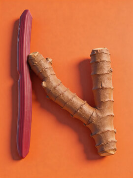 Resonance of Ice in Runic Chaos and Fire in Hot Vegetable Reflected in Ginger and Rhubarb Composed of Dual Tone Tubes Incorporating A Bamboo Hobby Tool Like Horse