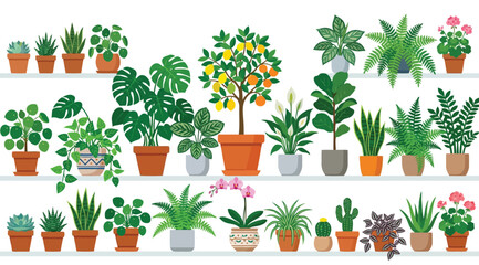 Obraz premium Collection of various indoor house plants in pots