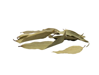 Fototapeta premium Dried bay leaves scattered on a white surface with soft studio lighting and ample copy space, minimal food ingredient still life.