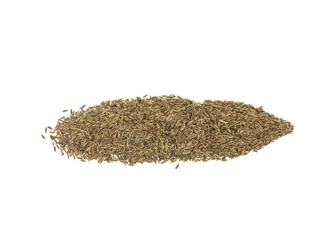 Top view of a small pile of cumin seeds on a Transparent background with copy space, minimal food ingredient concept.