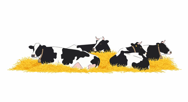 A herd of Holstein cows rest peacefully in a pile of golden hay
