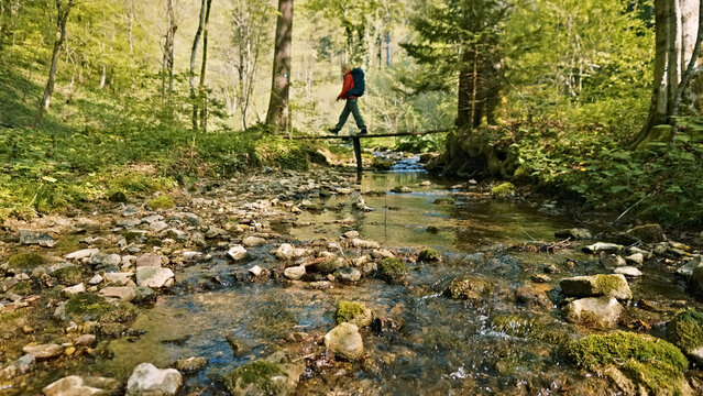 A young woman, caucasian, carefully balances on a log bridge over a stream in a lush forest. The flowing water below and vibrant green foliage highlight the serene hiking environment.