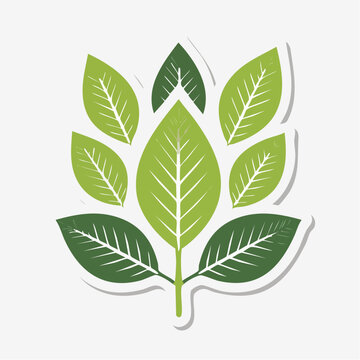 Stylized Green Leaves Emblem