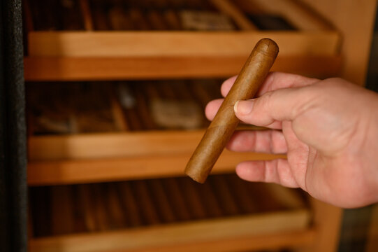 Hand nimmt Zigarre aus Humidor