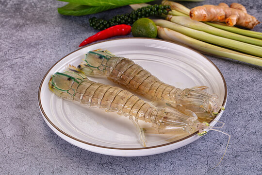 Raw mantis shrimps for cooking