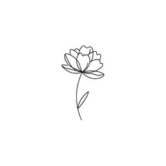 Obraz premium Simple line drawing of a flower