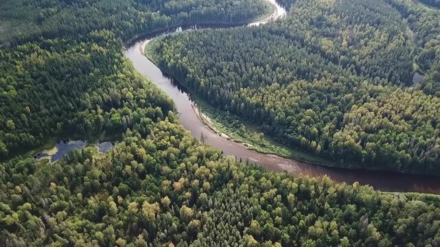 River Gauja snaking through a alluvial forest, ponds, reflections, drone backward curving clip, Latvia