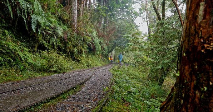 The misty mountain scenery of the Jianqing Ancient Trail Railway Trail in Taipingshan, Yilan.