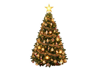 Fototapeta premium Tree Christmas Isolated Glowing Lights Holiday Pine Festive Winter Celebration Magic Bright Shiny Decoration Seasonal Cut Out