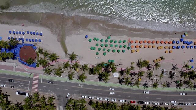 Top Down Drone View of Tropical Beach Umbrellas and Palm Trees in Macei&oacute;, Alagoas, Brazil