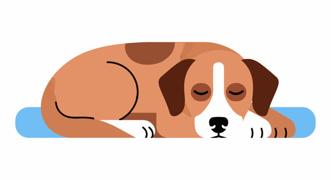 A simplified illustration of a sleeping dog with brown and white markings on a blue mat