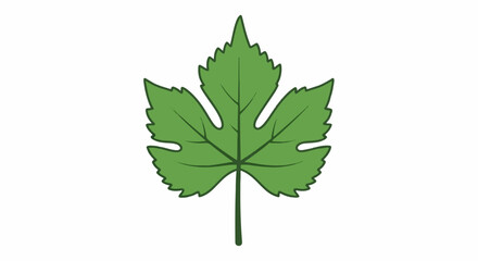 Fototapeta premium A stylized green leaf with lobed edges and a visible stem
