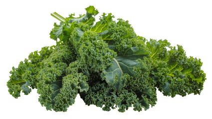 Obraz premium Isolated fresh green kale leaves raw organic superfood vegetable close up for healthy eating